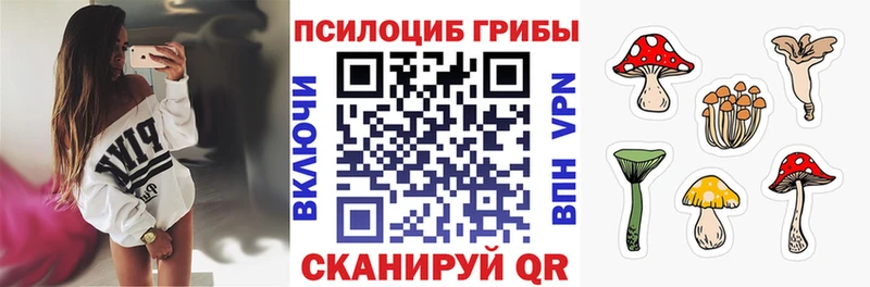 Галлюциногенные грибы Cubensis Кинешма
