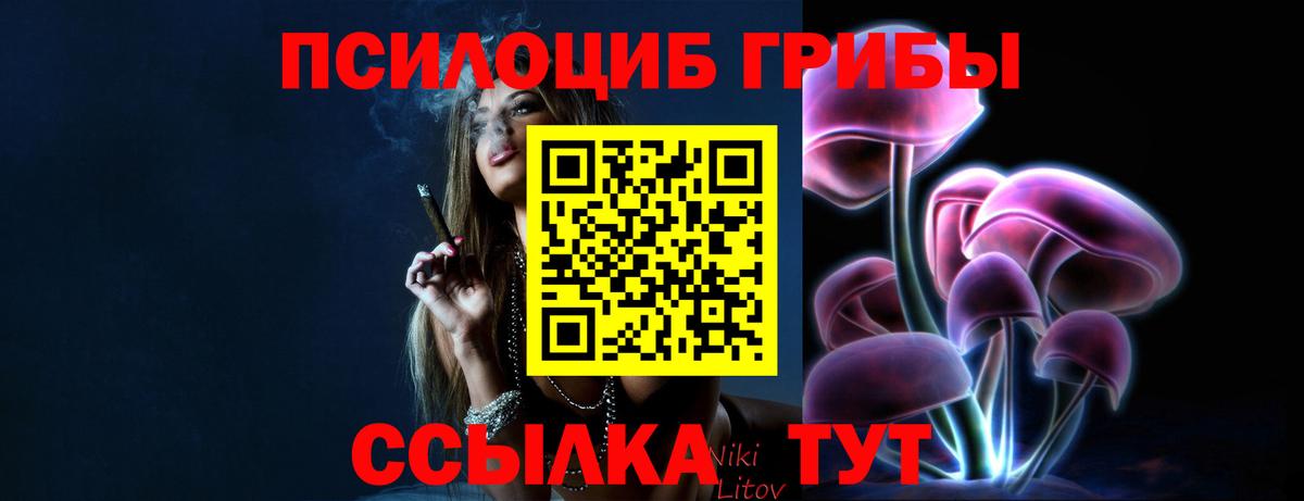Псилоцибиновые грибы MAGIC MUSHROOMS Кинешма