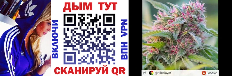 hydra ссылка  купить  сайты  Кинешма  Шишки марихуана индика 